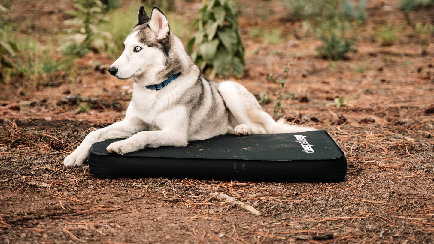 Deepsleep Solo Mat Dog Beds