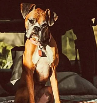 MINKA